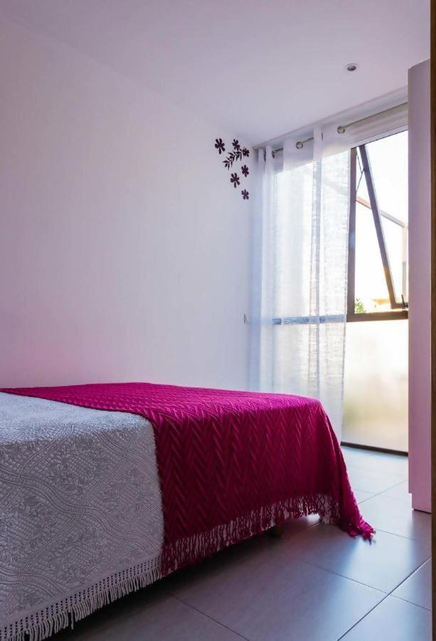 Casa Rural Vina Vella Esteiro Εξωτερικό φωτογραφία